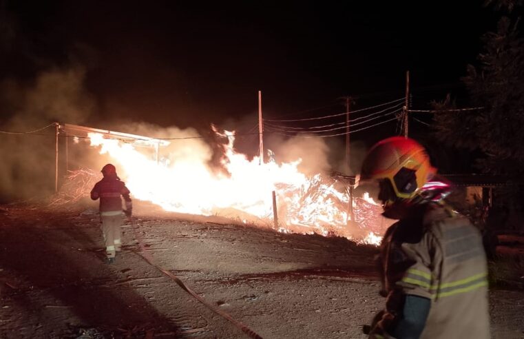 Bombeiros combatem incêndio em área