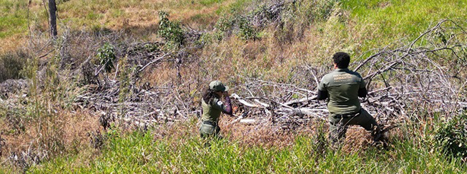 Operação de combate ao desmatamento suspende atividades ilegais e aplica R$ 30 milhões em multas