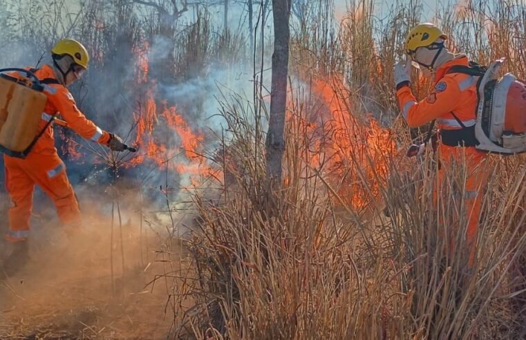 Militares do corpo de bombeiros atendem ocorrência de incêndio em vegetação