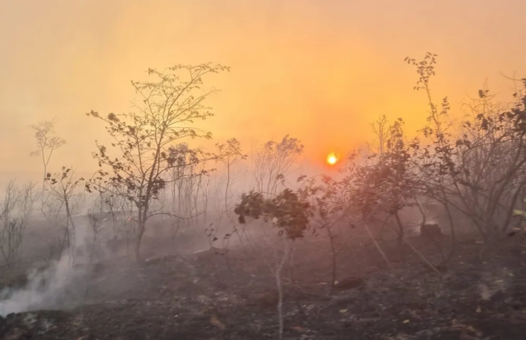 Incêndio atinge área de vegetação na zona rural de Padre Carvalho