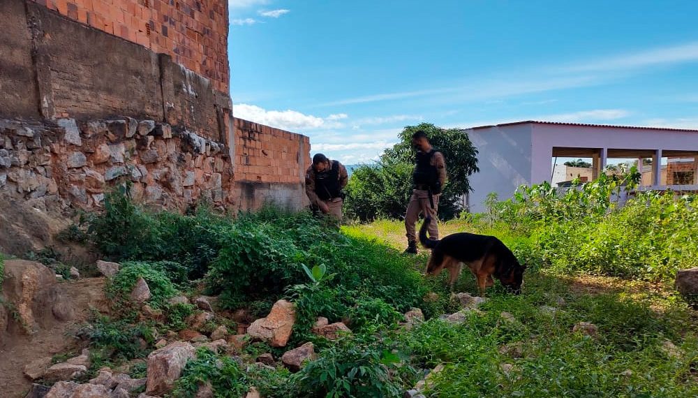Cães farejadores ajudam polícia a encontrar drogas em Montes Claros