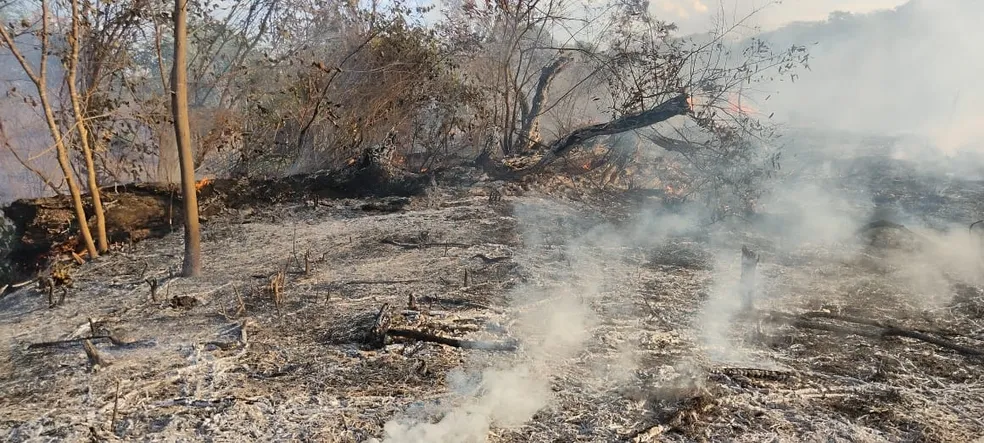 Em Januária, incêndio destrói área de vegetação e pastagem