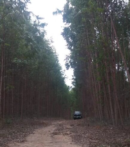 Polícia busca criminosos que assaltaram casal na zona rural de Carbonita