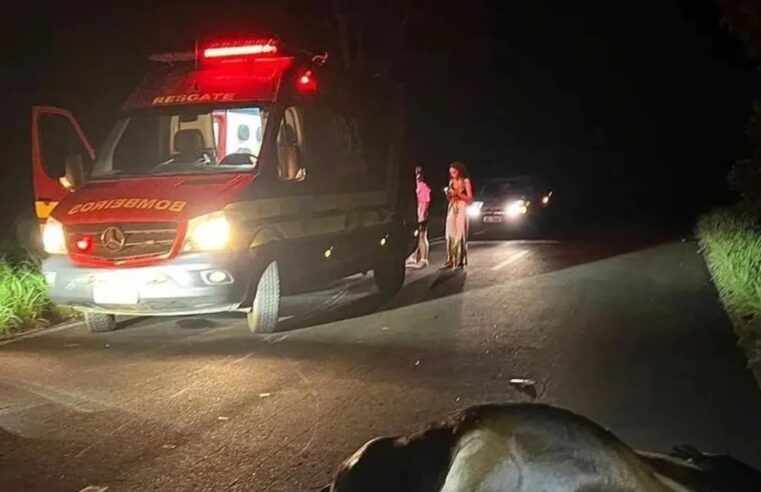 Motociclista atropela vaca na zona rural e fica ferido