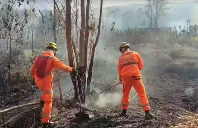 Bombeiros combatem dois grandes incêndios e alertam para perigos do tempo seco