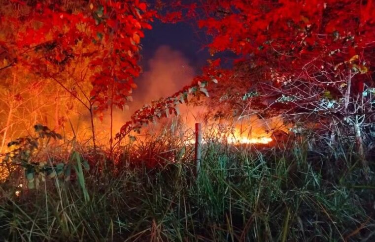 Bombeiros combatem incêndio de grande proporção em área de vegetação, em Três Marias