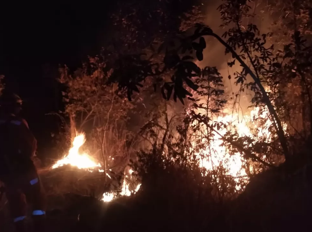 BR-135 | Incêndio atinge área de mata em Bocaiuva