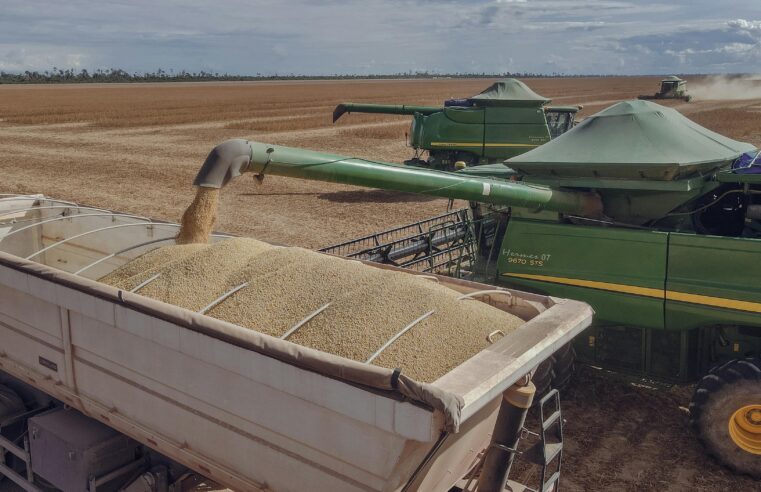 CONAB | Safra de grãos pode atingir recorde histórico de 356,3 milhões de toneladas em 2025/26