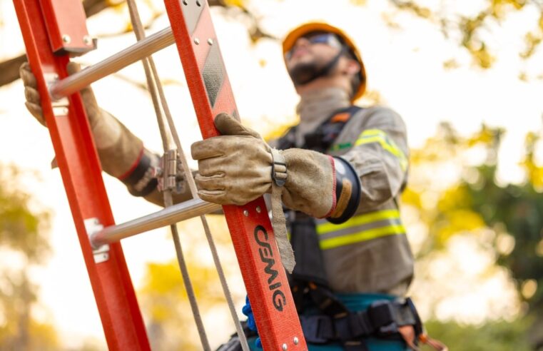 Cemig intensifica vistorias na rede elétrica para garantir segurança durante o Carnaval em Minas