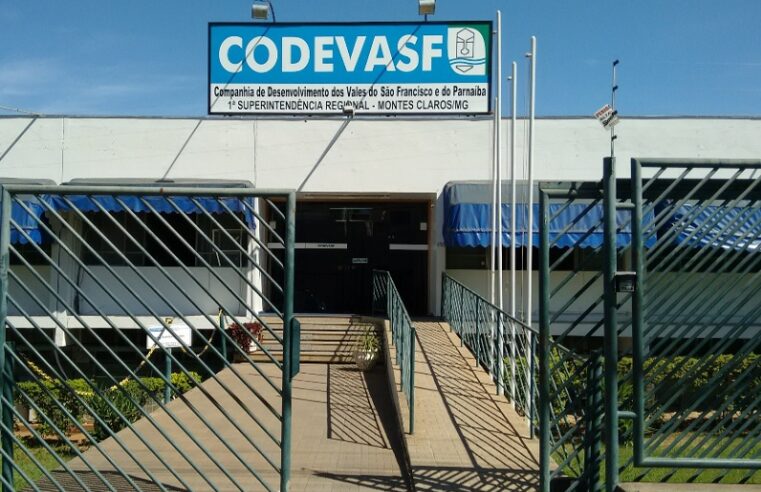 Codevasf promove 20º Seminário de Apicultura do Norte de Minas nesta quinta (19)