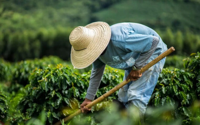 Sindicato dos Produtores Rurais de Janaúba apoia divulgação do Portal Vagas do Agro