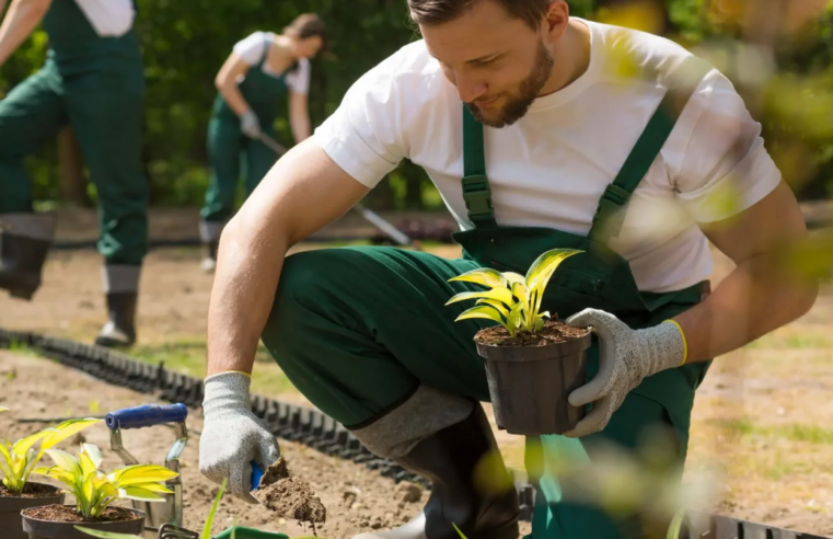 Inscrições para curso EAD gratuito de Agente de Desenvolvimento Socioambiental do IFNMG terminam neste sábado, (14)