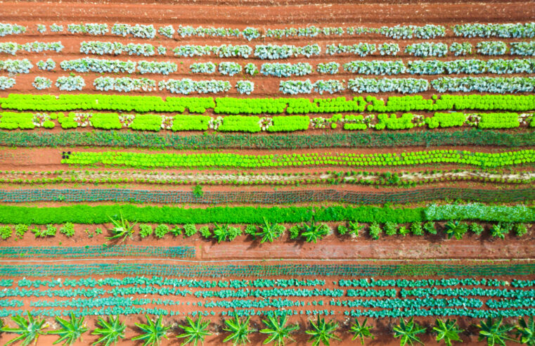 Regras ambientais para atividades rurais passam por atualização