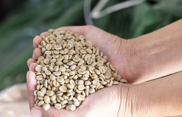 Comissão vai discutir Plano Safra e Programa de Redução de Agrotóxicos