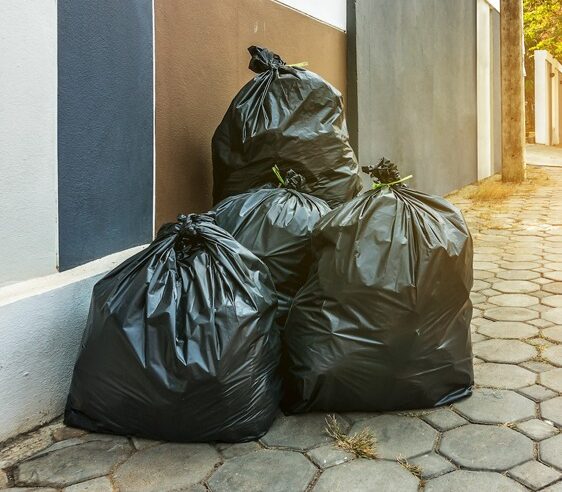 Botumirim realiza mutirão de limpeza e reforça compromisso com saúde, meio ambiente e bem-estar da população