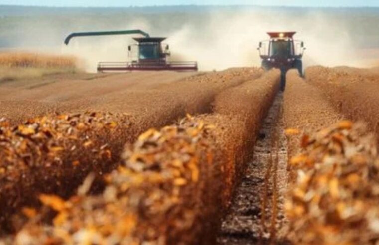 Conab projeta safra de grãos de 367,1 milhões de toneladas no Brasil