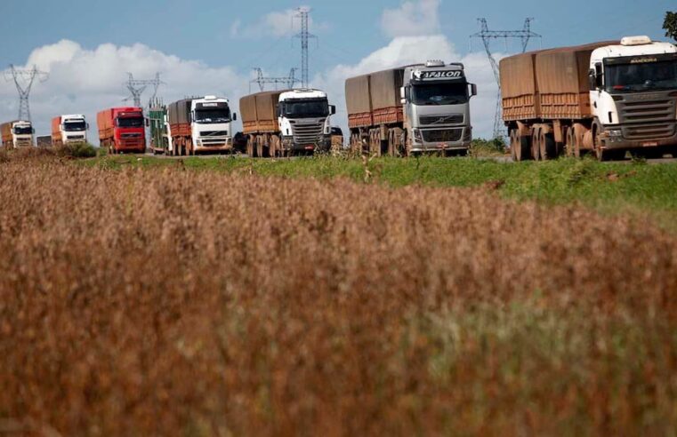 Fretes agrícolas sobem em Minas e pressionam logística do campo