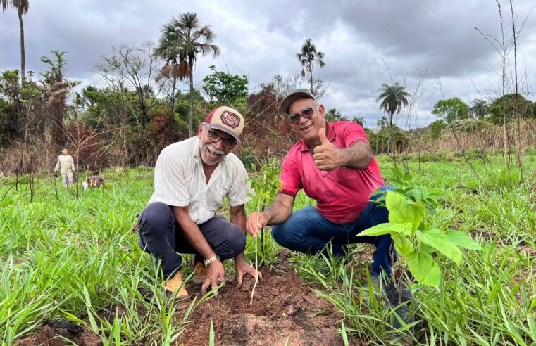 Coração de Jesus celebra chegada das chuvas com o plantio de 500 mudas no Parque Municipal