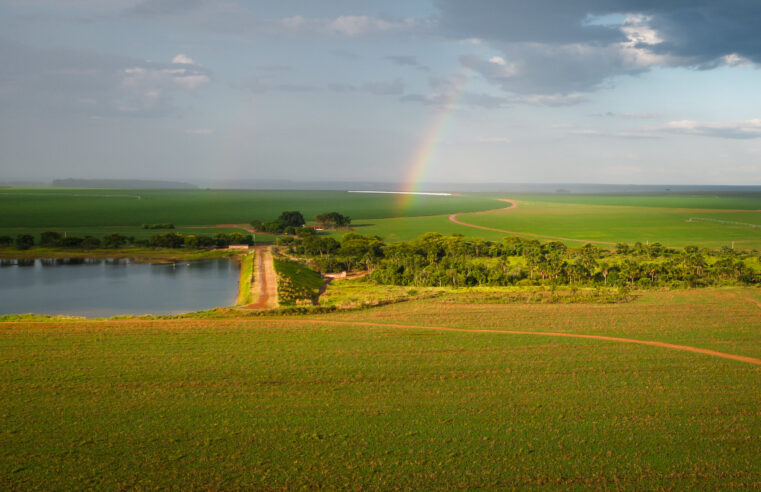Prazo para declaração do ITR começa em agosto
