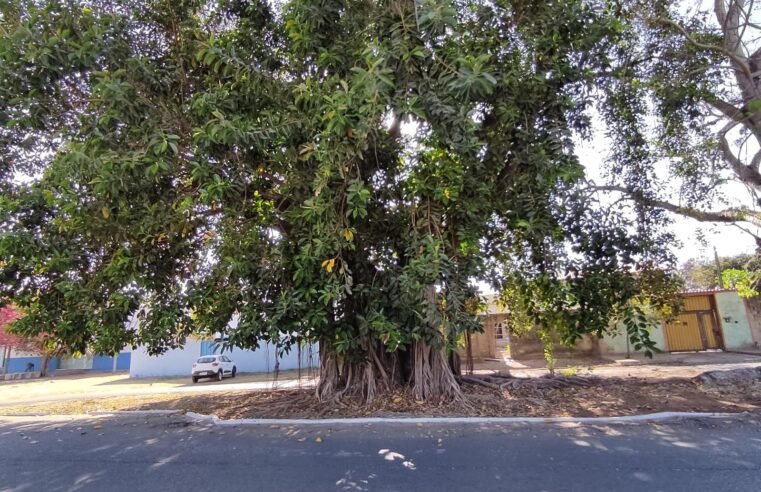 Atualização do Inventário de Bens Culturais 2025 assegura preservação e identidade de Pirapora