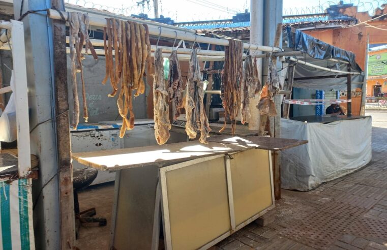 Procon-MPMG apreende 1,4 tonelada de produtos de carne em Almenara