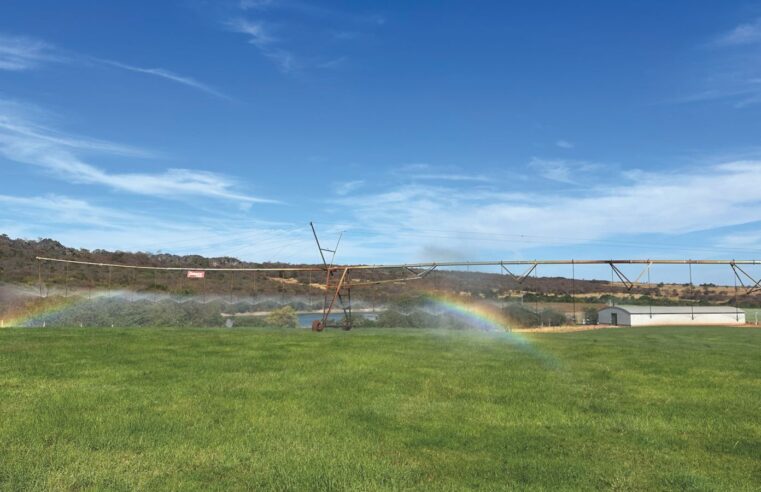 Montes Claros será palco da segunda edição do Seminário Mineiro de Irrigação