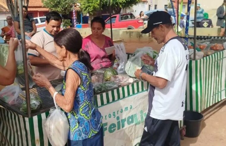 Feira da Agricultura movimenta Lagoa de Baixo e fortalece laços comunitários em Rubelita