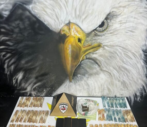 VÁRZEA DA PALMA | PMMG prende homem por incêndio criminoso, dano e tráfico de drogas