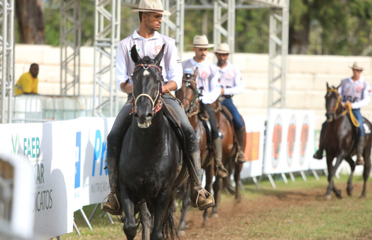 MANGALARGA MARCHADOR | Cidade sedia evento da Marcha Picada de 28/10 a 2/11