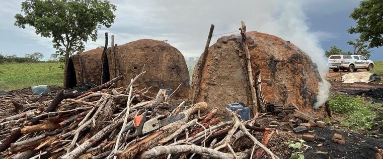 Operação Grande Sertão IV combate desmatamento ilegal no Norte de Minas e aplica mais de R$ 800 mil em multas