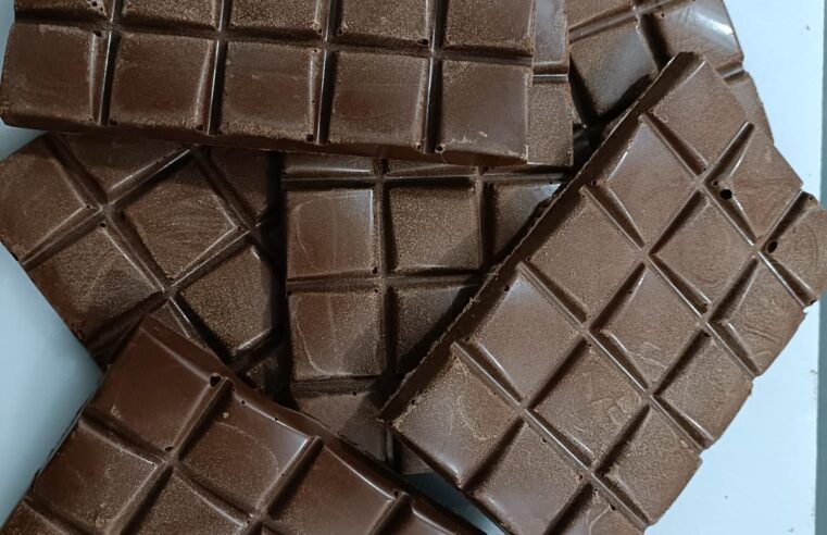 Cacau do Norte de Minas avança e primeiros testes indicam chocolate de qualidade