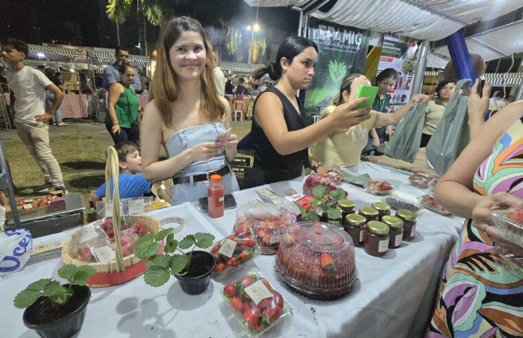 Festival de Morangos do Norte de Minas valoriza produção regional