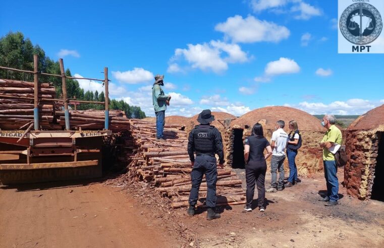 Operação flagra trabalhadores submetidos à situação degradante no Norte de Minas