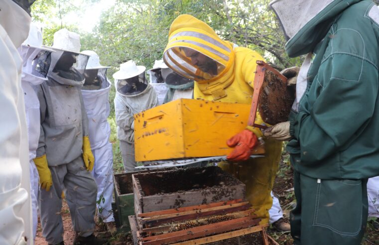 Faemg promove Dia de Campo para apicultores do Norte de Minas