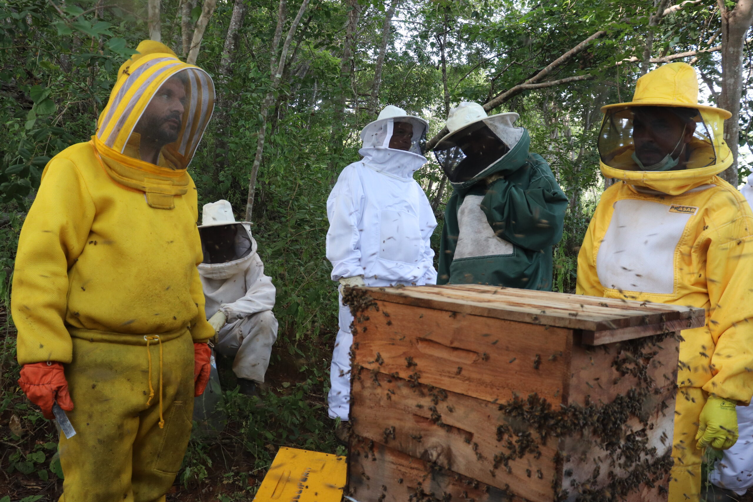 Nos 32 anos do Senar Minas, regional Montes Claros celebra trabalho contínuo