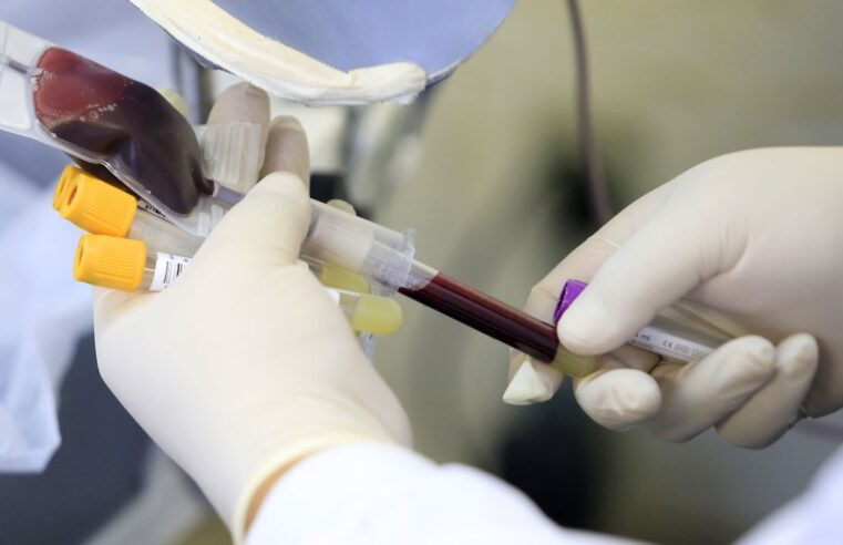 Taxa de doadores de sangue na população deve ser de 1% a 3%