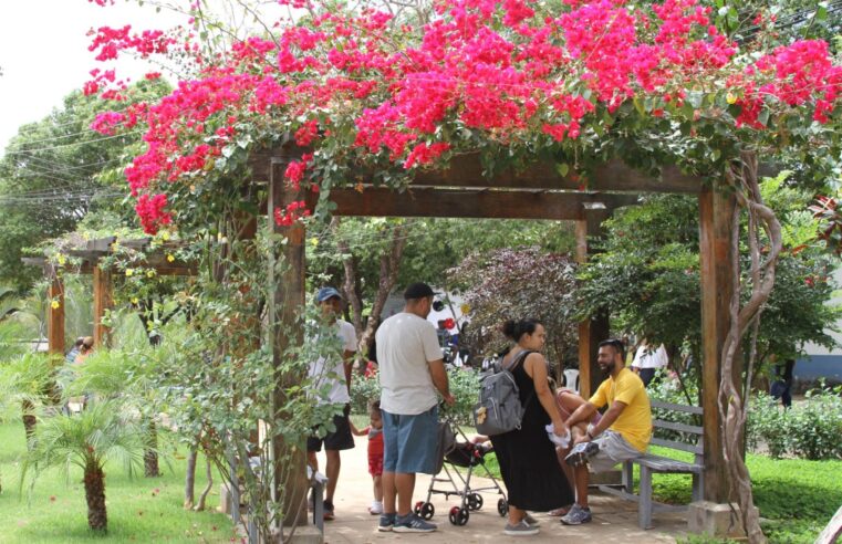 Domingo no Campus: três novas atividades são confirmadas