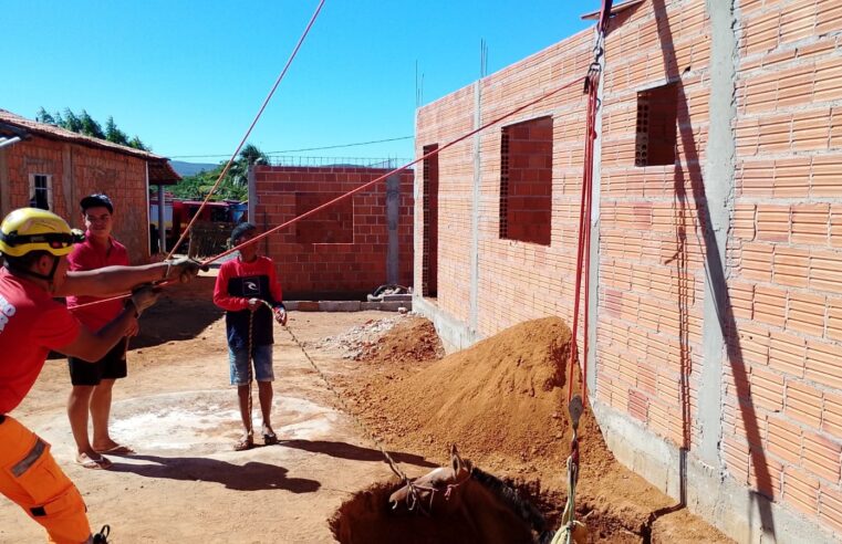 JANAÚBA | Militares do Corpo de Bombeiros resgatam cavalo caído fossa