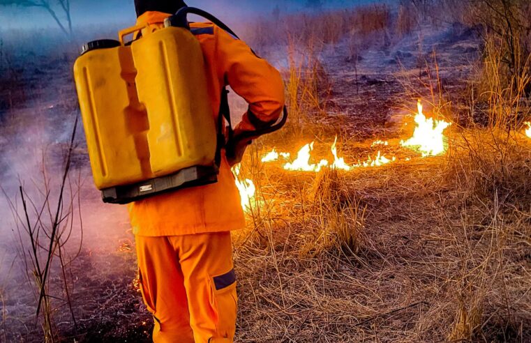 JANUÁRIA | Militares do Corpo de Bombeiros combatem incêndio em vegetação no entorno da cidade