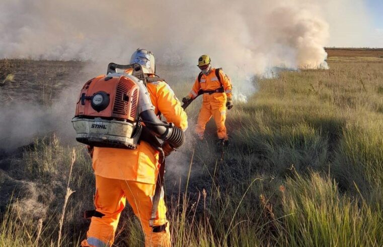 MG já bate recorde de fogo em vegetação até junho passado