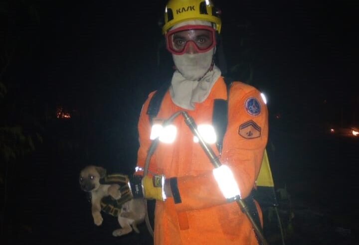 Bombeiros combatem incêndio em área rural pertencente a órgãos públicos