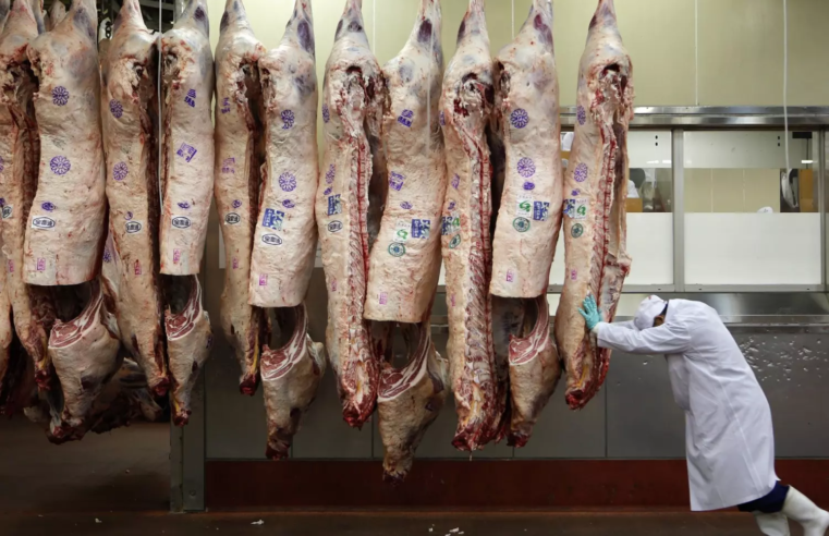 Embargo da China traz reflexos ao preço do boi gordo no Brasil