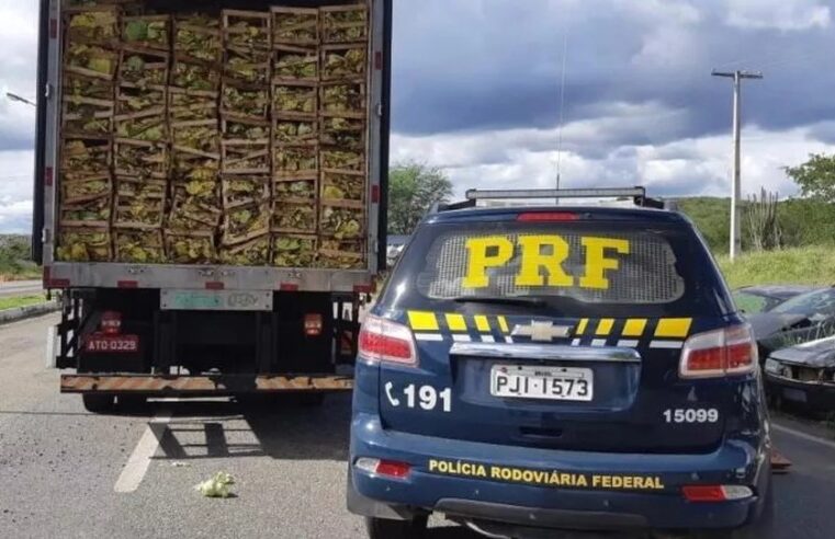 BR-251 | Motorista é rendido por homens armados e encapuzados