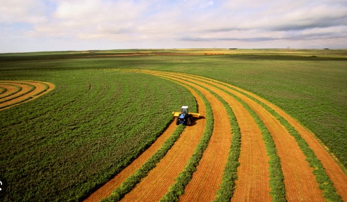 Brasil tem uma Suécia inteira para ampliar produção do agro