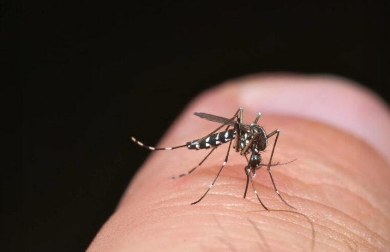 Montes Claros se aproxima dos 20 mil casos de dengue