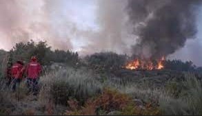 Bombeiros combatem incêndio em lixo irregular e vegetação, em Salinas