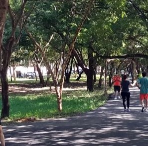 Apresentados requerimentos sobre sustentabilidade e infraestrutura verde