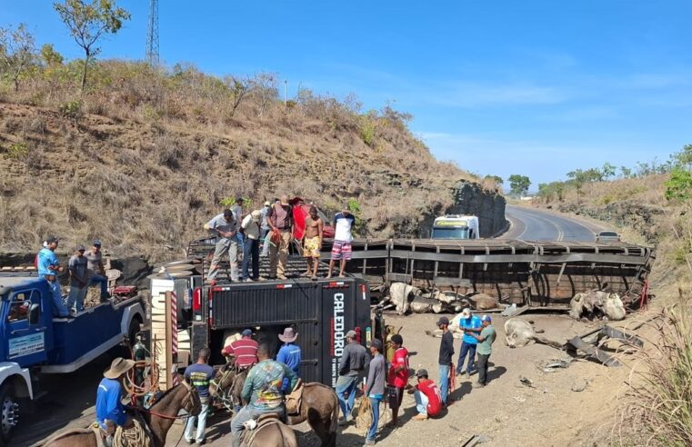 Acidente envolvendo dois veículos pesados é registrado na BR-365, em Várzea da Palma