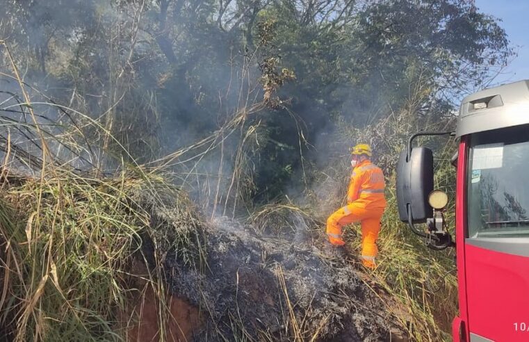 Outro incêndio também foi combatido às margens da rodovia BR-251