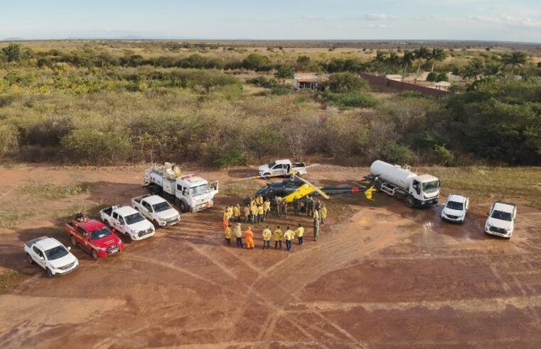 Bombeiros coordenam operação integrada em combate a incêndio em vegetação no Parque Estadual Caminho dos Gerais